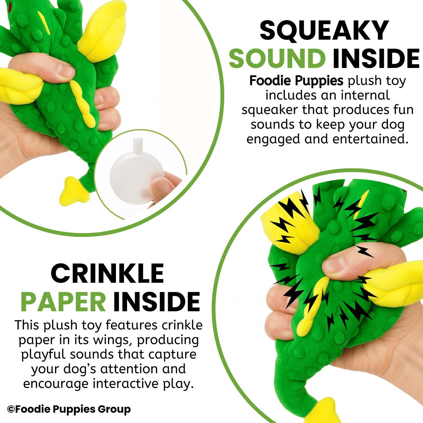 Flying Dragon Interactive Plush Squeaky Toy