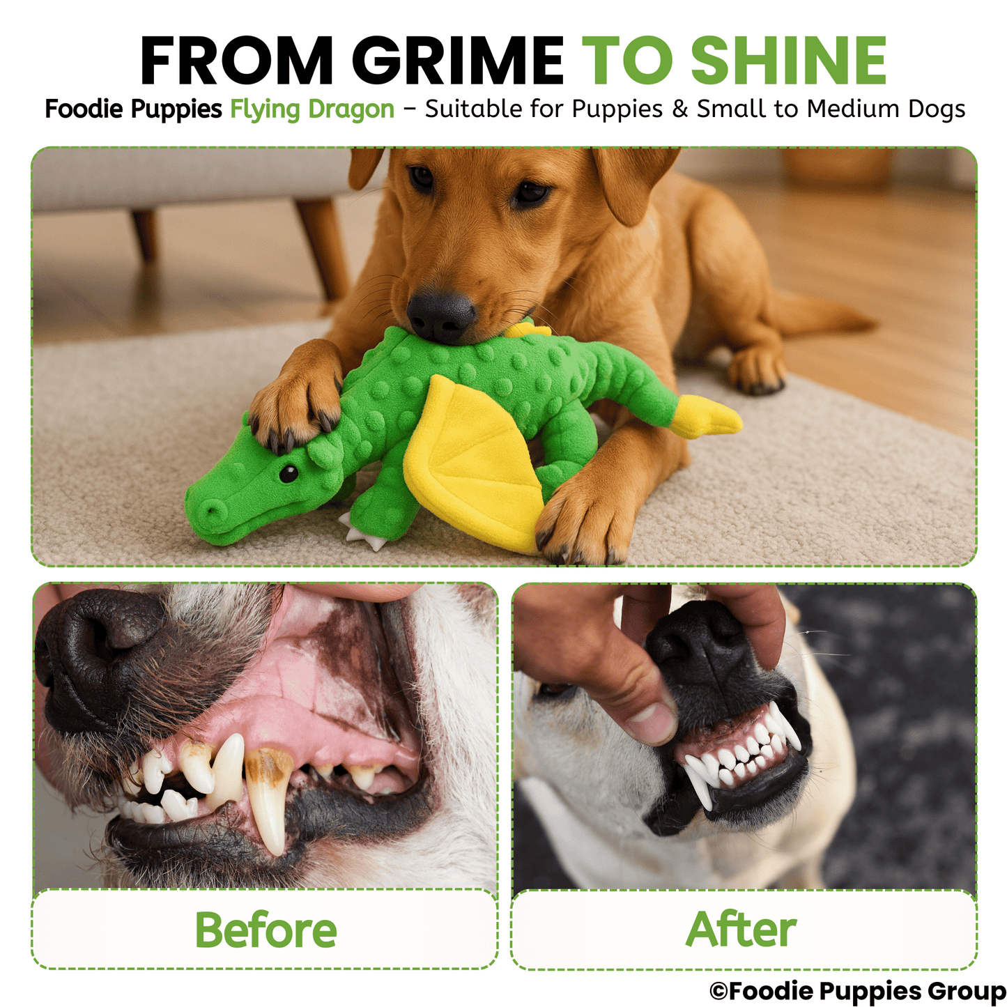 Flying Dragon Interactive Plush Squeaky Toy