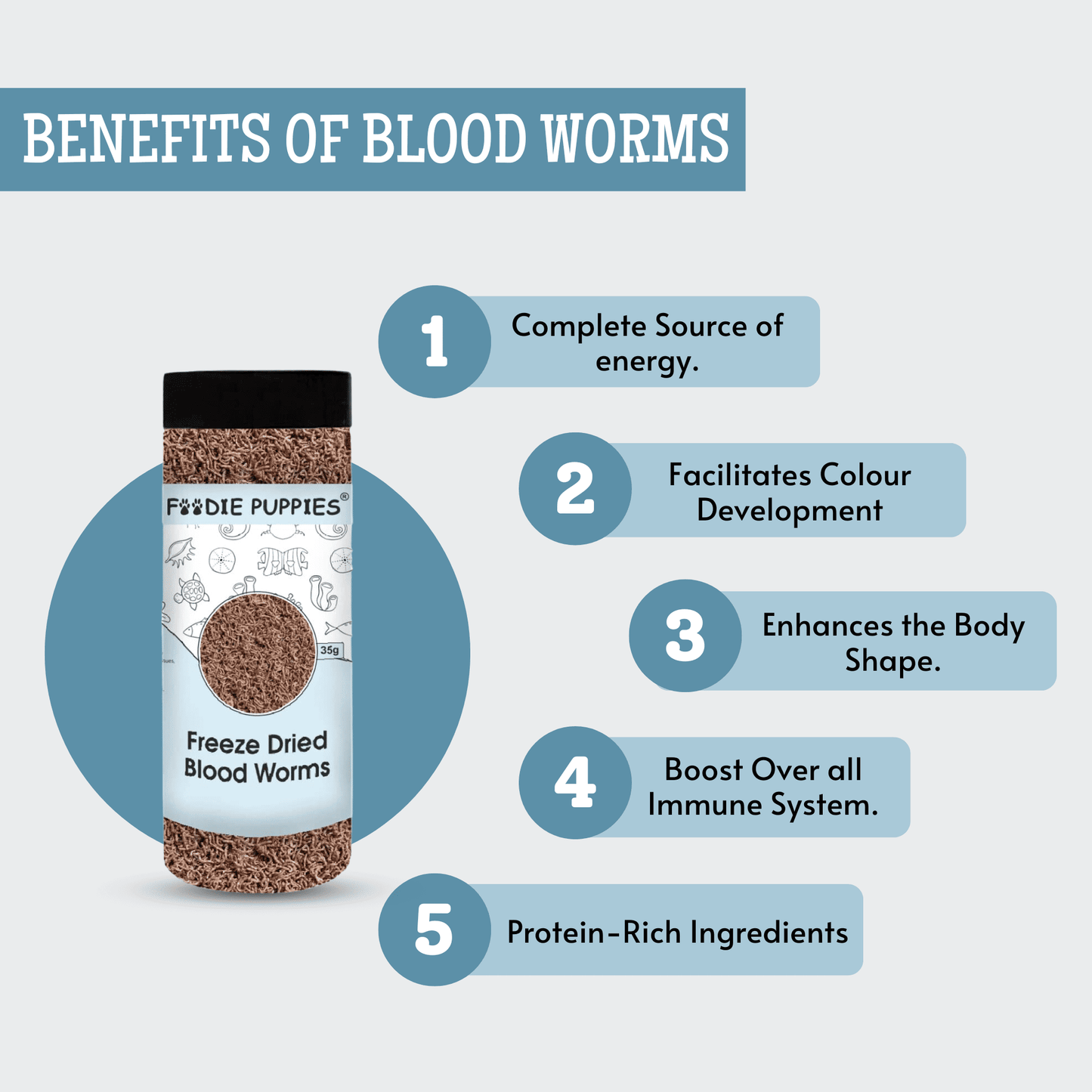 Freeze-Dried Blood Worms (35g, Pack of 2) for Fish and Turtles