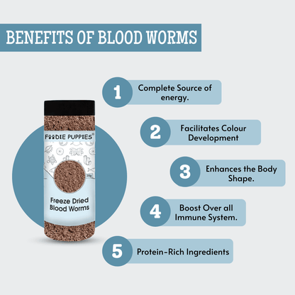 Freeze-Dried Blood Worms (35g, Pack of 2) for Fish and Turtles