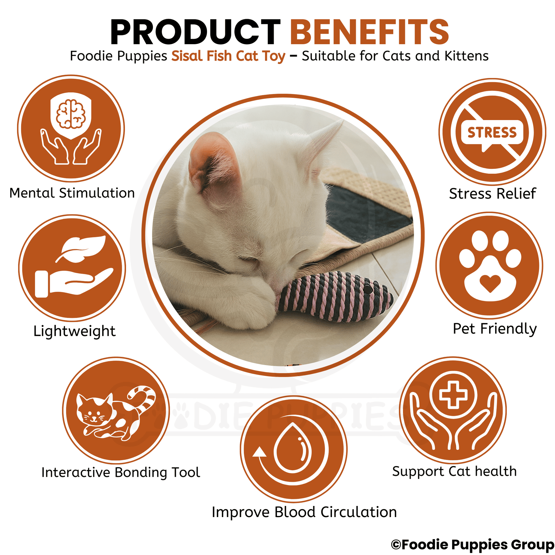 Colorful fish-shaped cat toys with feathers