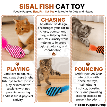 Colorful fish-shaped cat toys with feathers