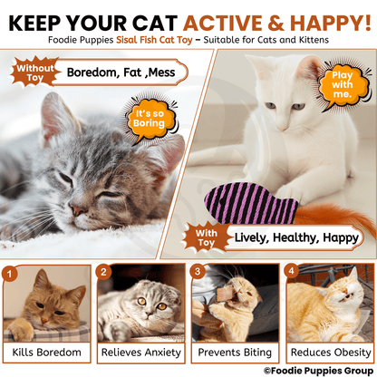 Colorful fish-shaped cat toys with feathers