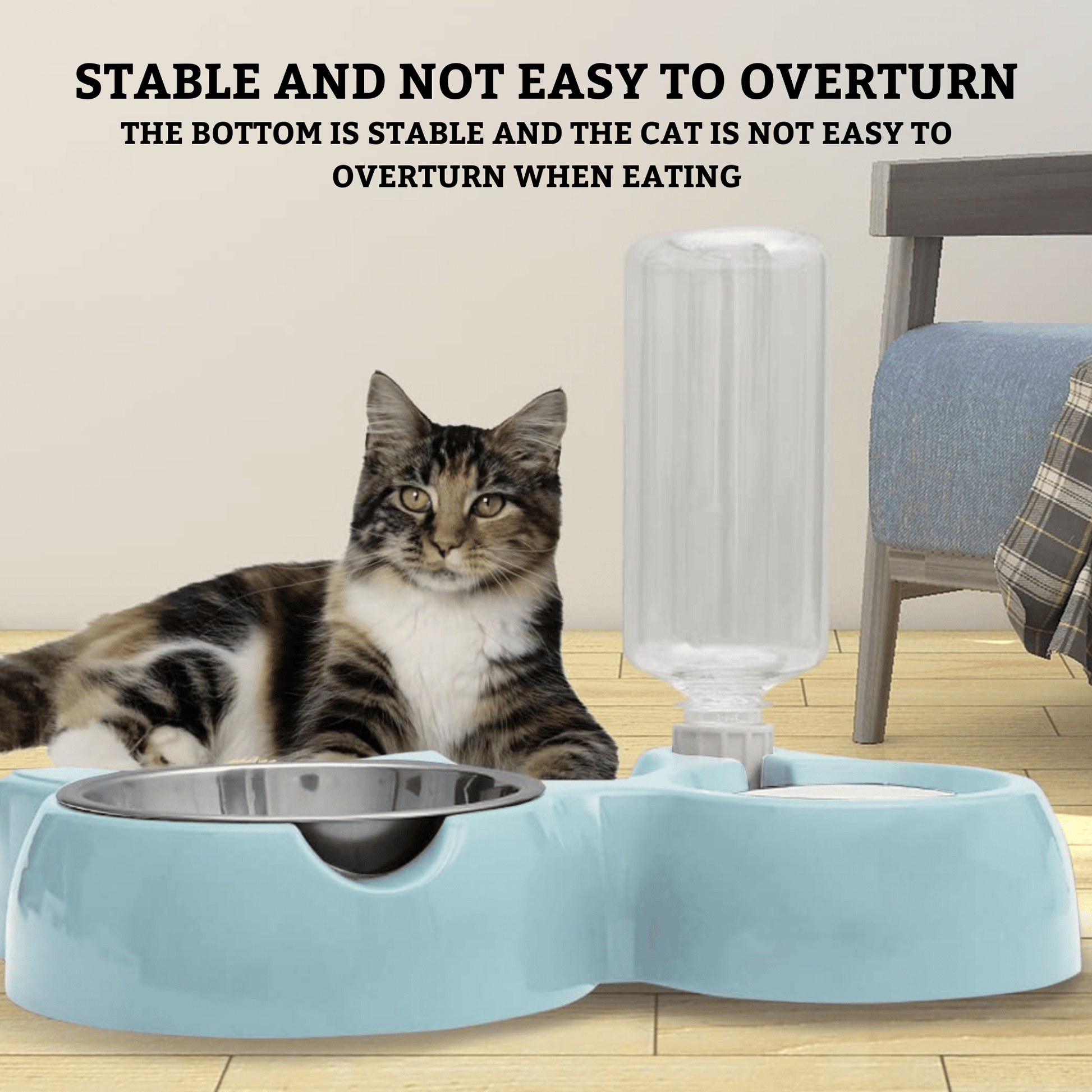 Cat Is Not Eating But Drinking Water Cat Is Not Eating But