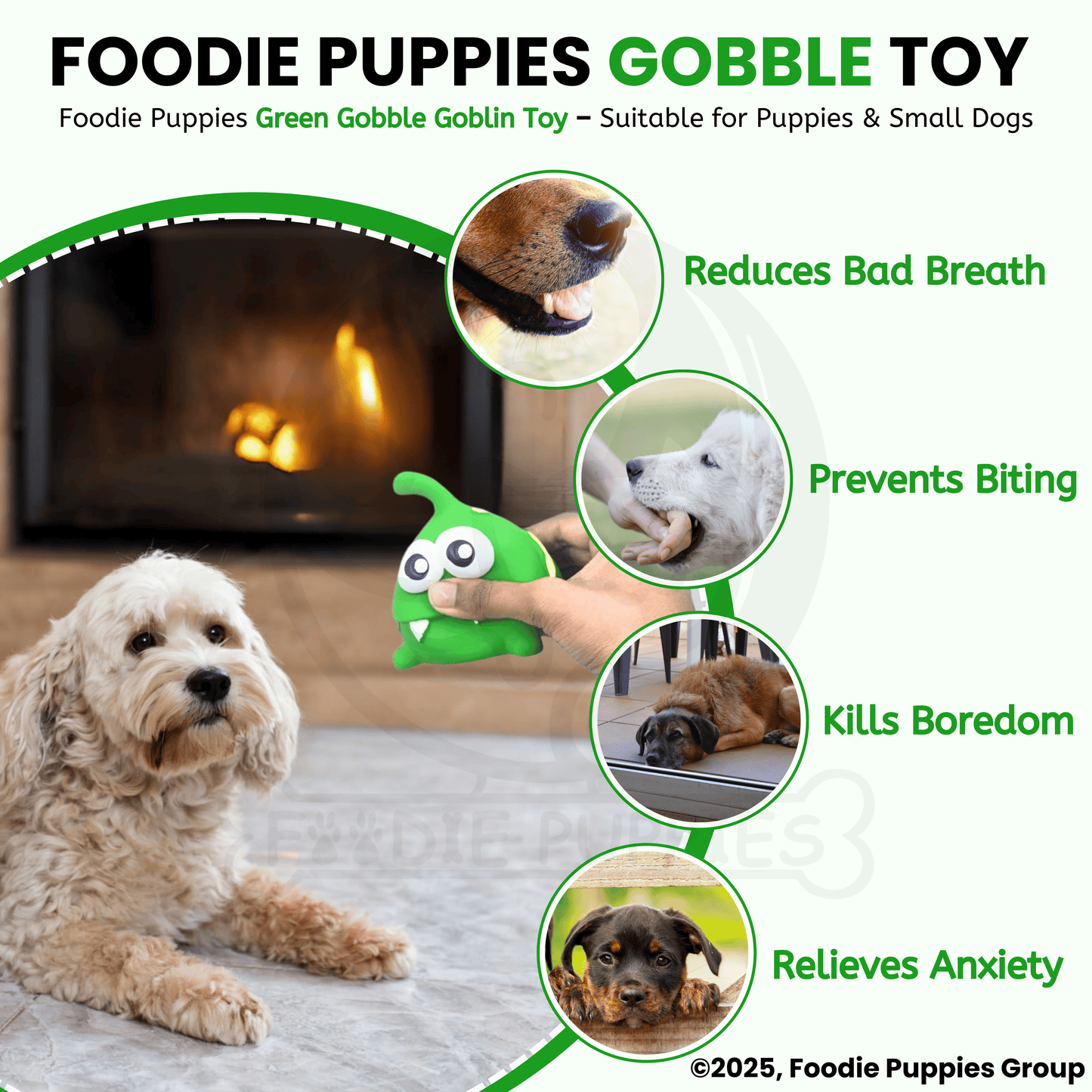 Green Gobble Goblin Latex Dog Squeaky Chew Toy (10cm) for Small Dogs and Puppies