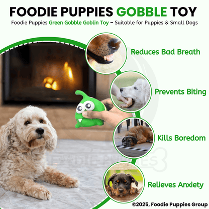 Green Gobble Goblin Latex Dog Squeaky Chew Toy (10cm) for Small Dogs and Puppies