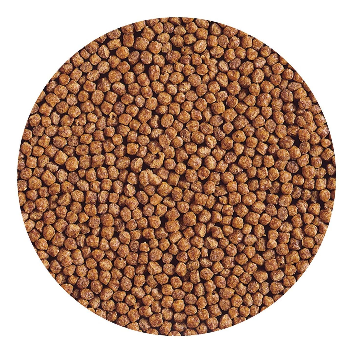 HIKARI Baby Goldfish (100gm) Gold Pellet Aquarium Fish Food