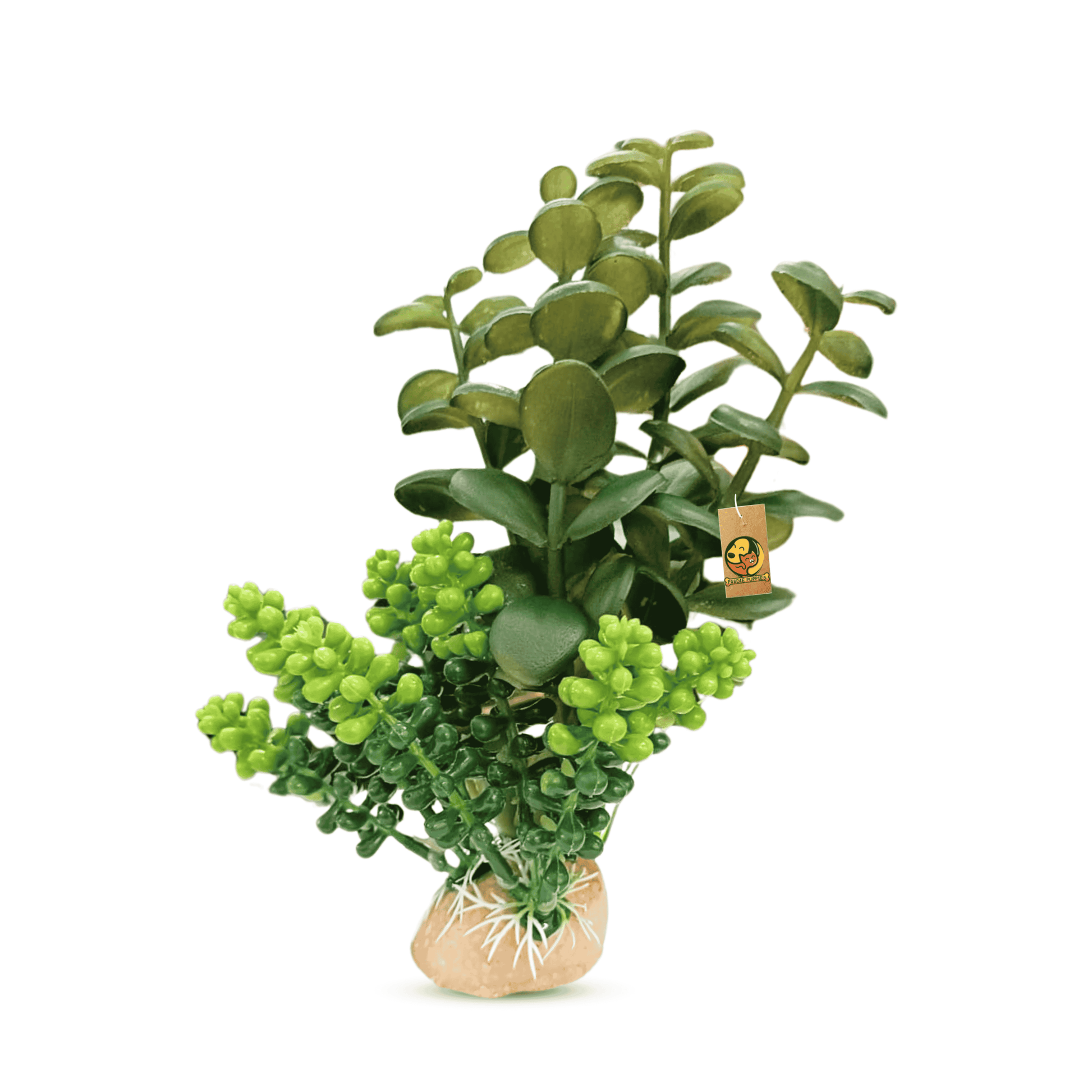 Jada Artificial Plant for Aquarium with Resin Base