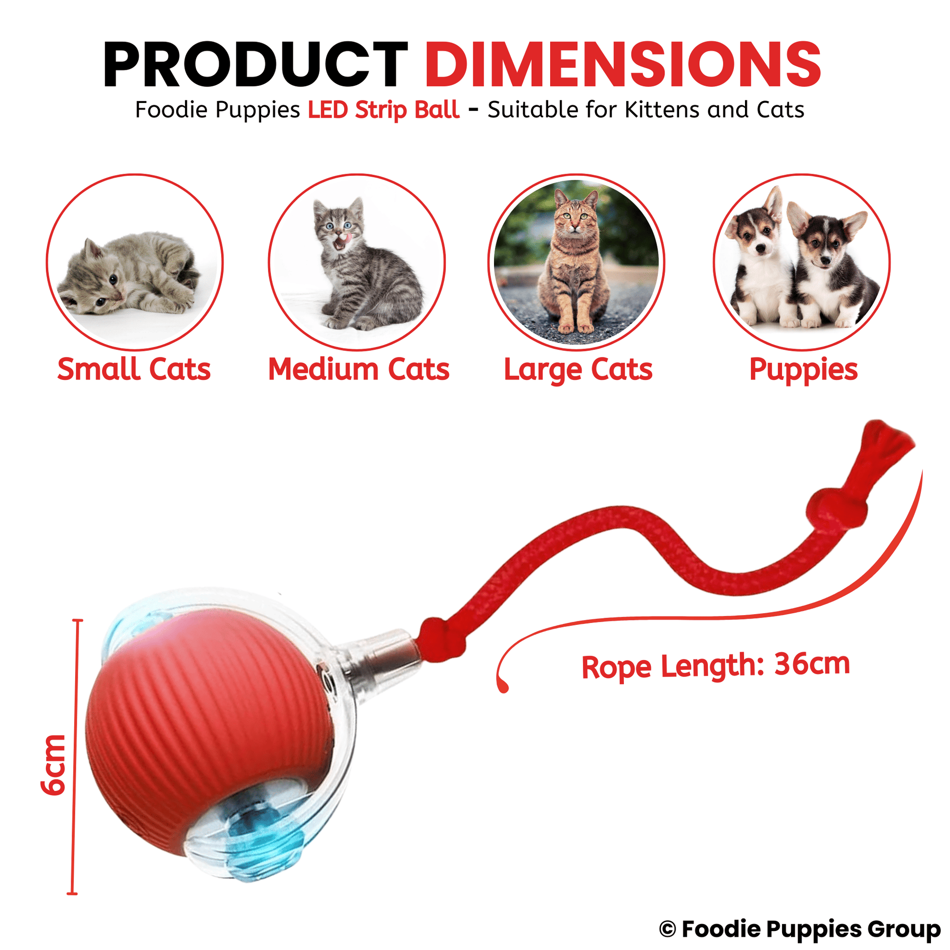  Rolling Smart LED Ball For Cat Toys