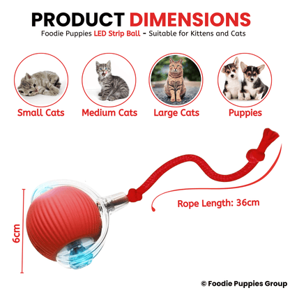  Rolling Smart LED Ball For Cat Toys