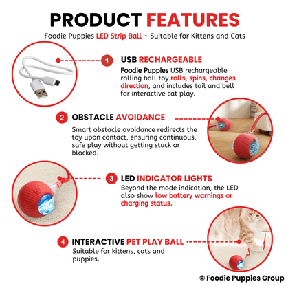  Rolling Smart LED Ball For Cat Toys