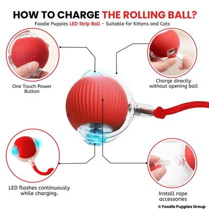  Rolling Smart LED Ball For Cat Toys