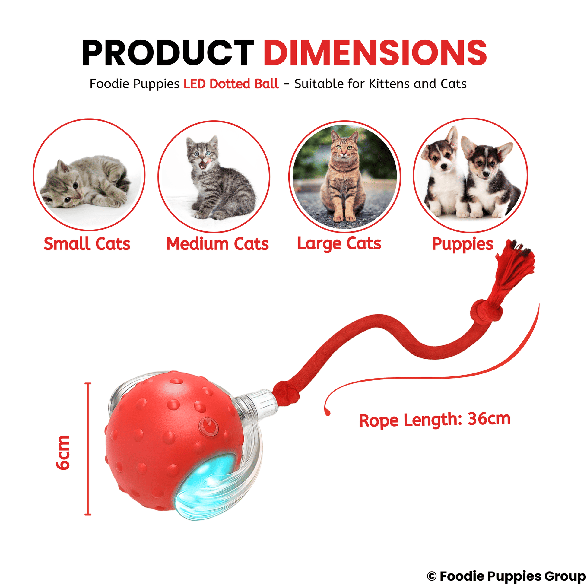 Automatic Rolling Smart LED Ball Cat Toys