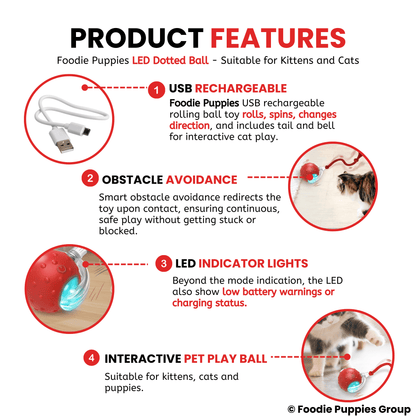 Automatic Rolling Smart LED Ball Cat Toys