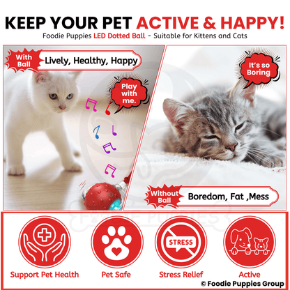 Automatic Rolling Smart LED Ball Cat Toys