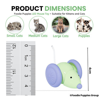 Smart Interactive LED Wheel Mouse Toy For Cat & Kitten