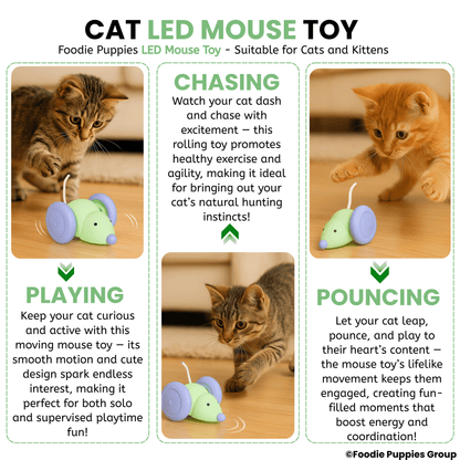 Smart Interactive LED Wheel Mouse Toy For Cat & Kitten