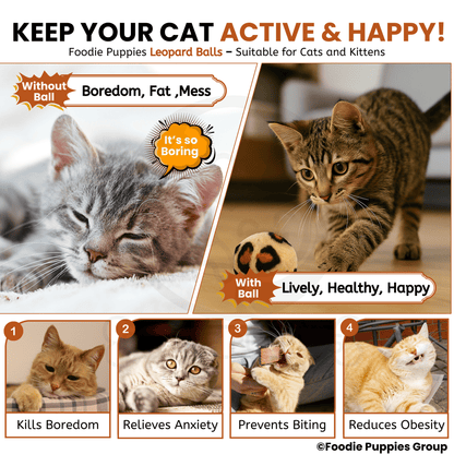 Interactive Leopard Mini Balls for (Pack of 5) Cats & Kittens