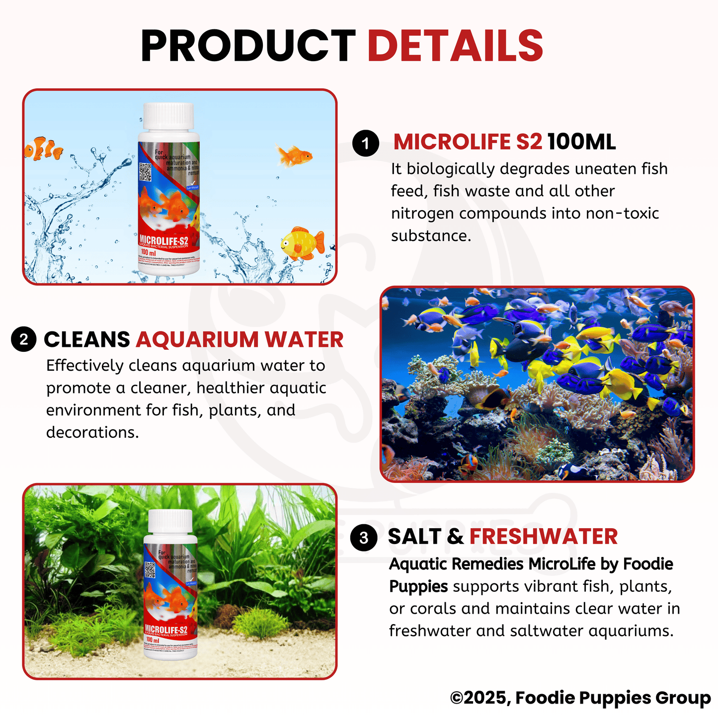 Aquatic Remedies Microlife-S2, 100ml | Fresh & Salt Water