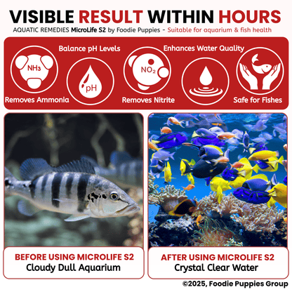 Aquatic Remedies Microlife-S2, 100ml | Fresh & Salt Water