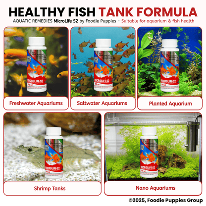 Aquatic Remedies Microlife-S2, 100ml | Fresh & Salt Water