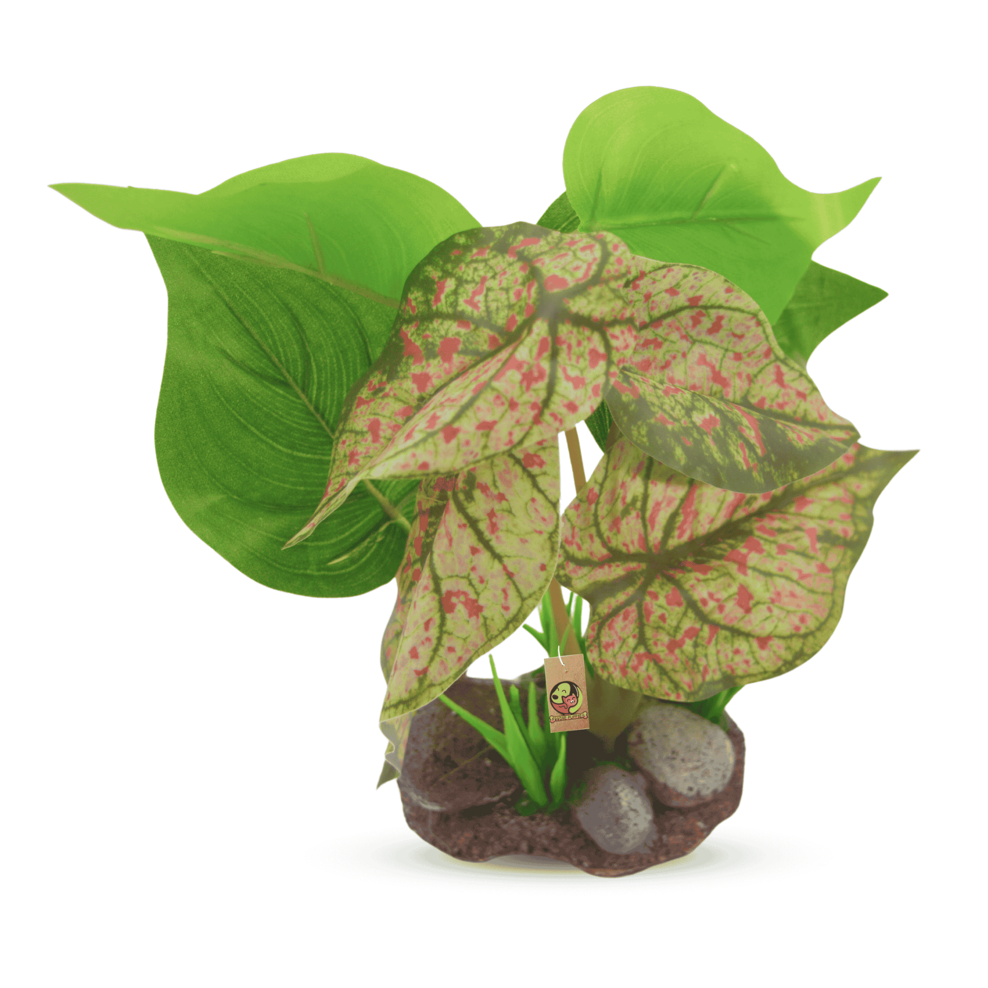 is money plant good for aquarium Artificial Money Plant for Aquarium with Resin Base