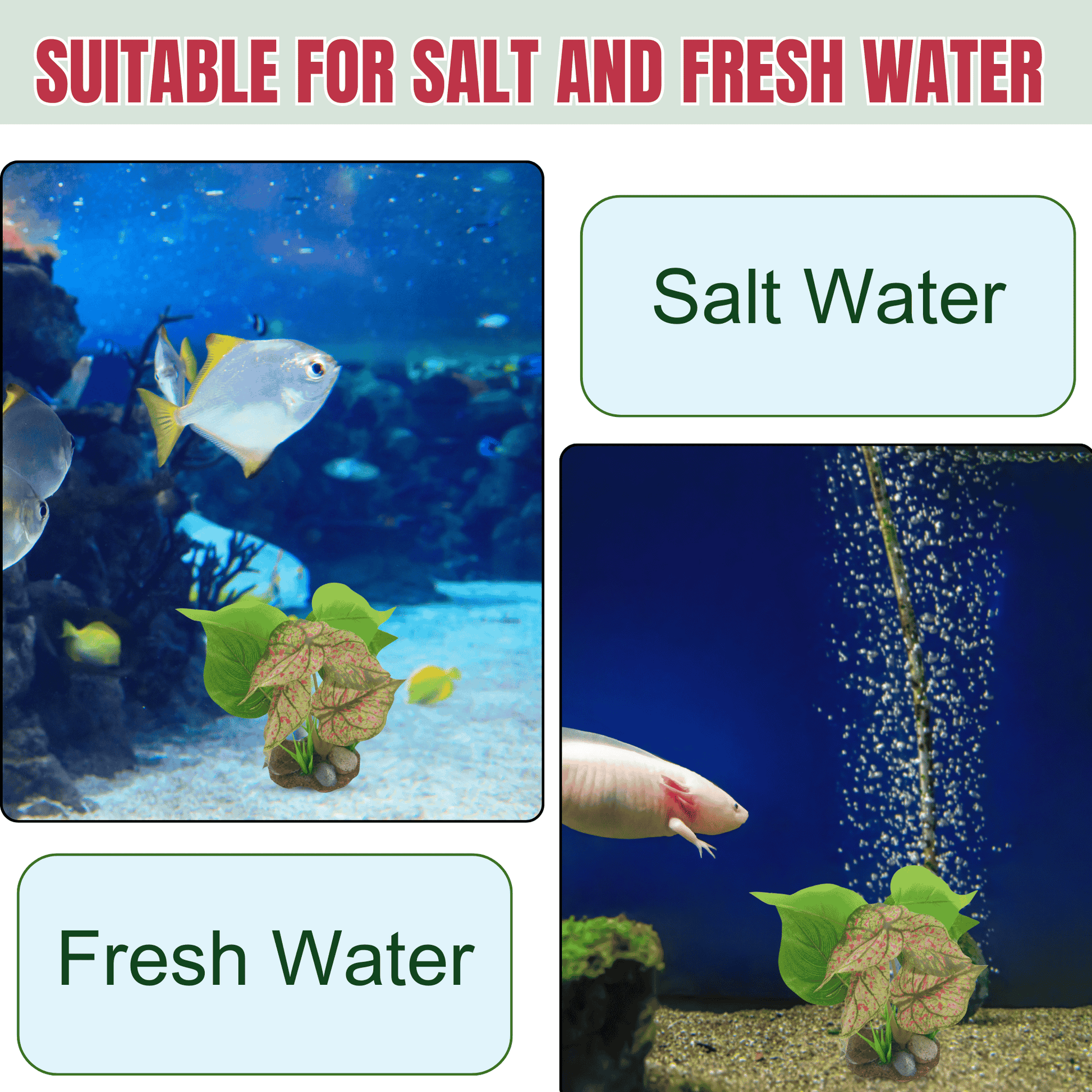 can i put money plant in aquarium Artificial Money Plant for Aquarium with Resin Base