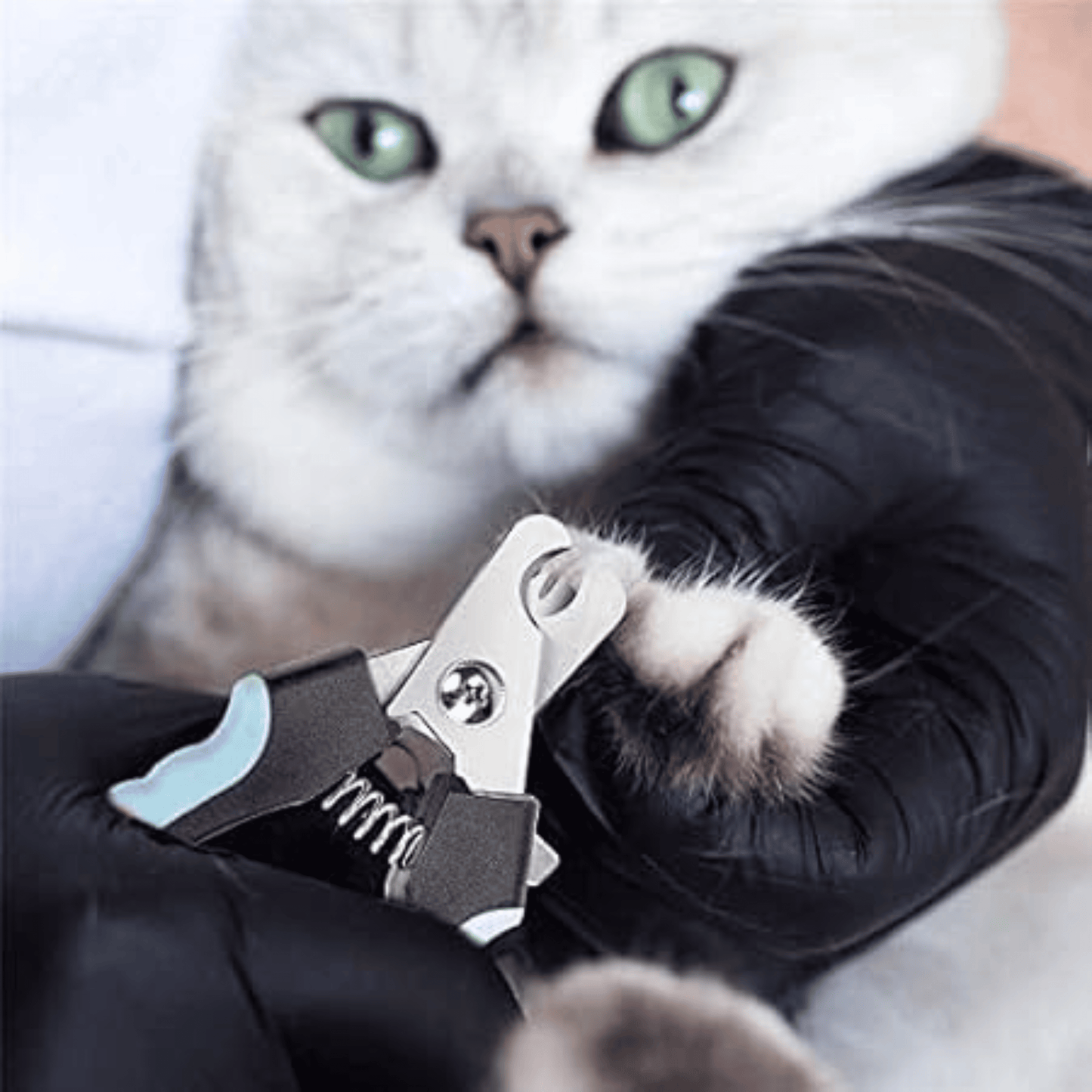 Nail Clipper with Filer for Small Dogs, Cats & Puppies