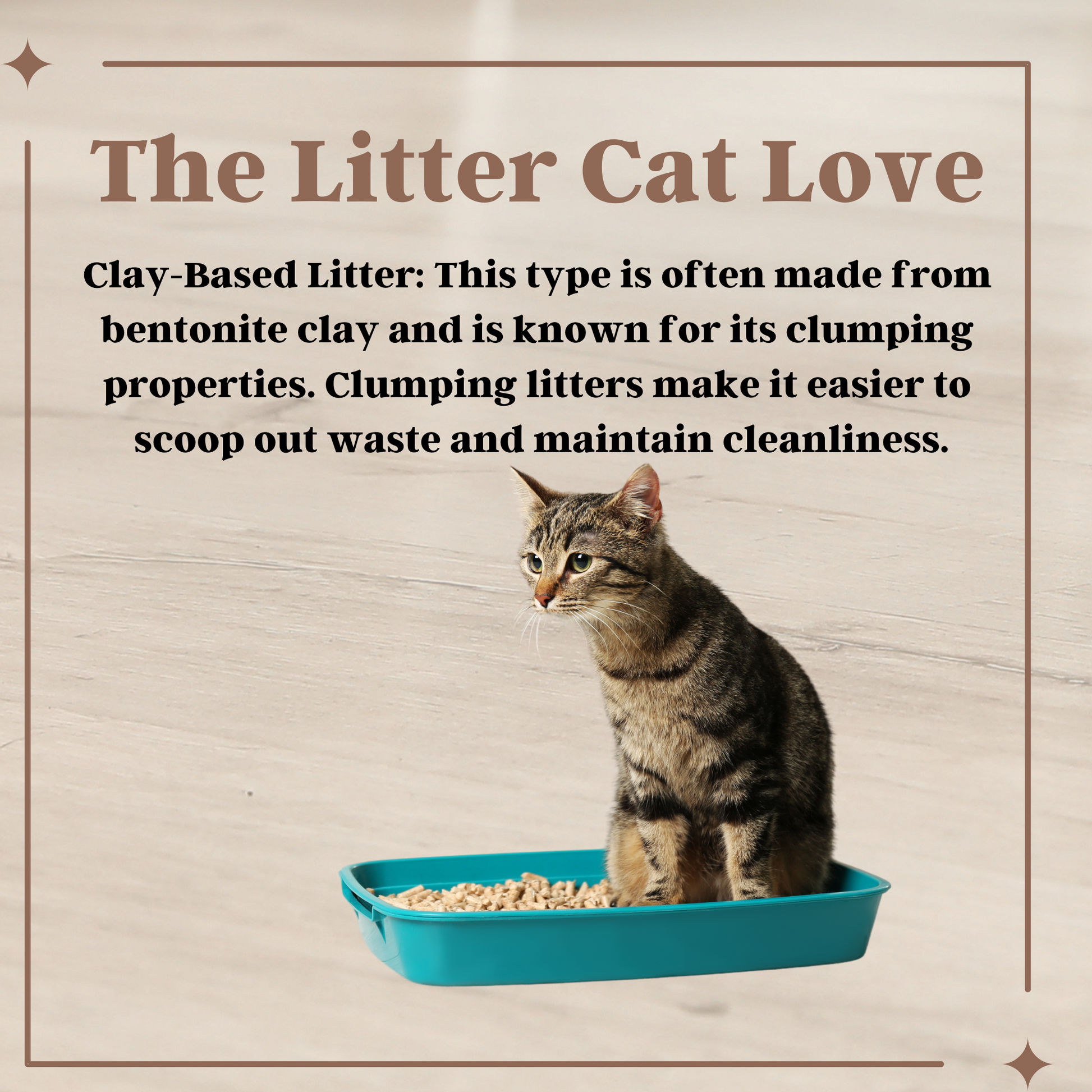 Non Clumping Litter Do Kittens Need Special Litter Natural Cat