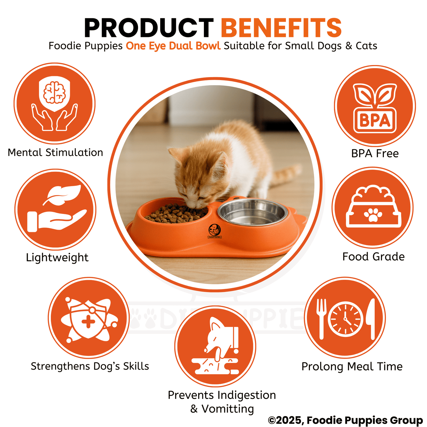 One-Eye Double Steel Cat Bowl