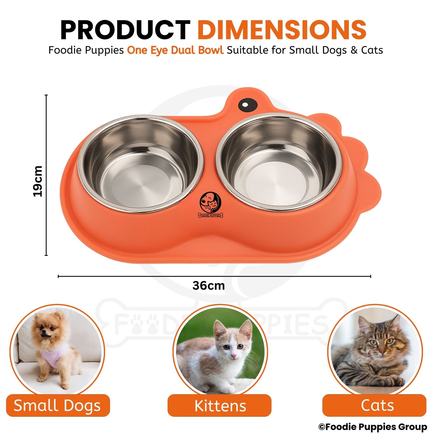 Pet Double Feeding Tilted Cat Bowl for Cats, Kittens & Puppies