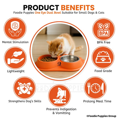 Pet Double Feeding Tilted Cat Bowl for Cats, Kittens & Puppies
