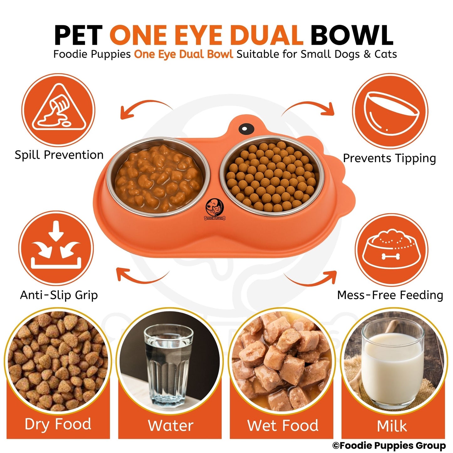 Pet Double Feeding Tilted Cat Bowl for Cats, Kittens & Puppies