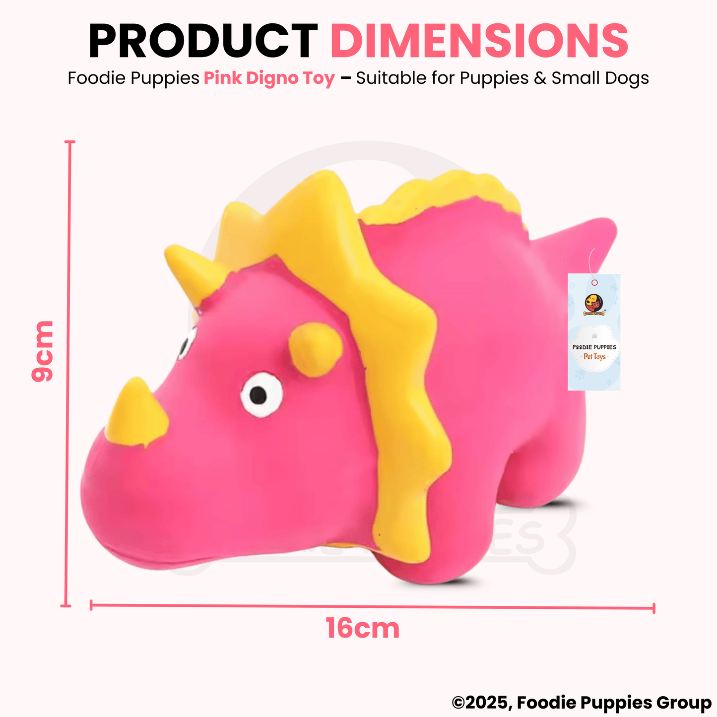 Pink Digno Dog Squeaky Chew Toy (16cm) for Small Dogs and Puppies