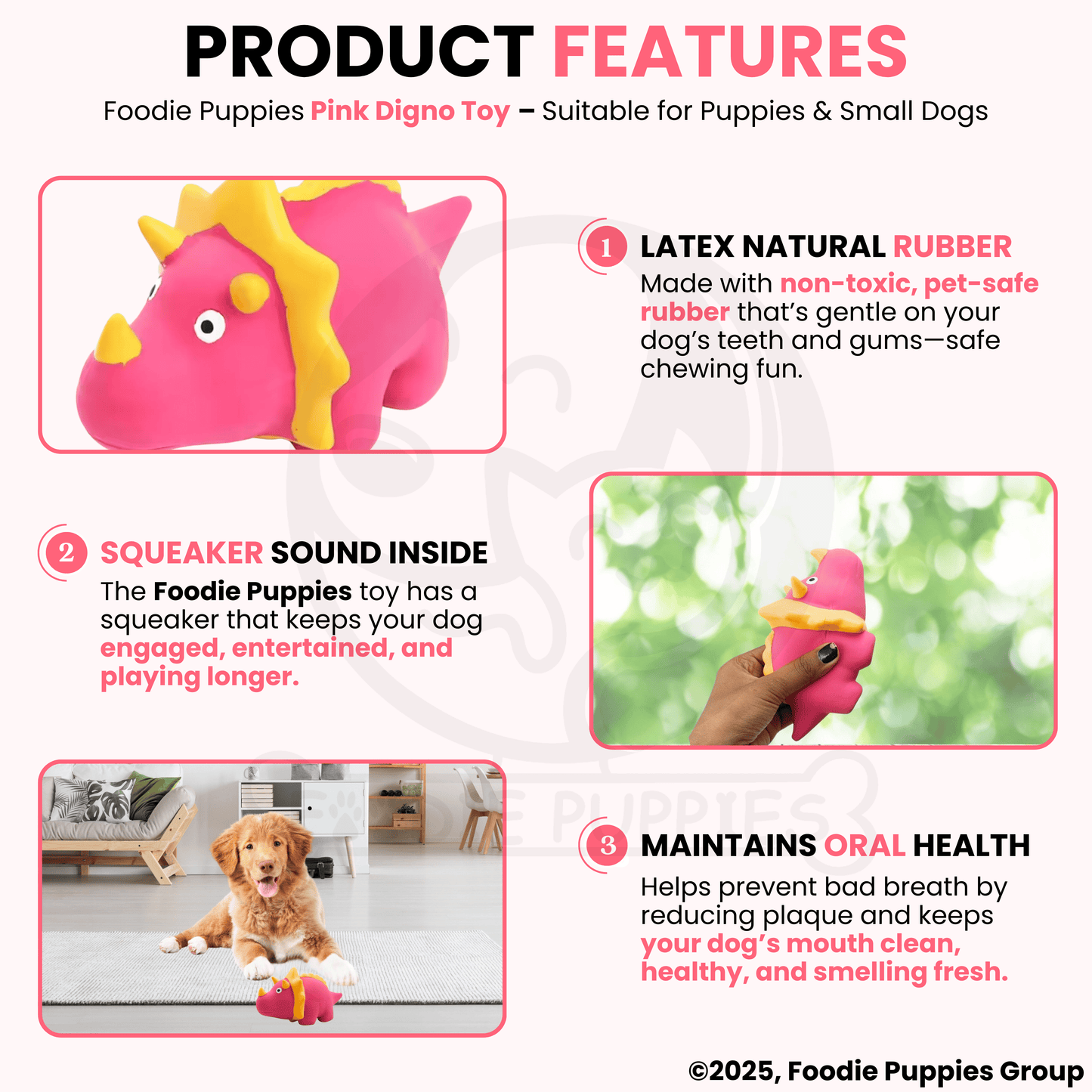 Pink Digno Dog Squeaky Chew Toy (16cm) for Small Dogs and Puppies