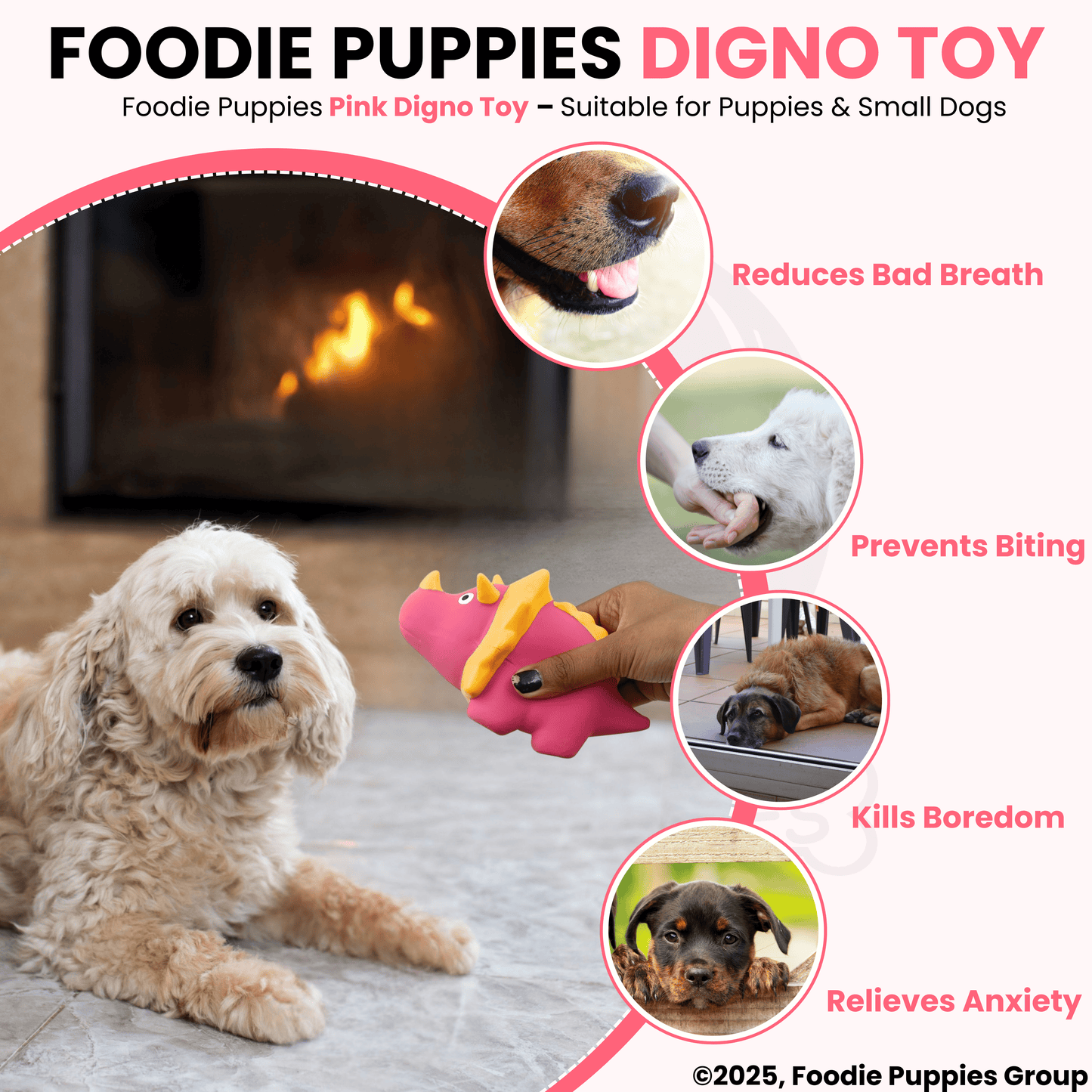 Pink Digno Dog Squeaky Chew Toy (16cm) for Small Dogs and Puppies