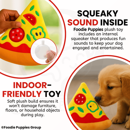Pizza Slice Soft, Safe & Fun Plush Dog Toy