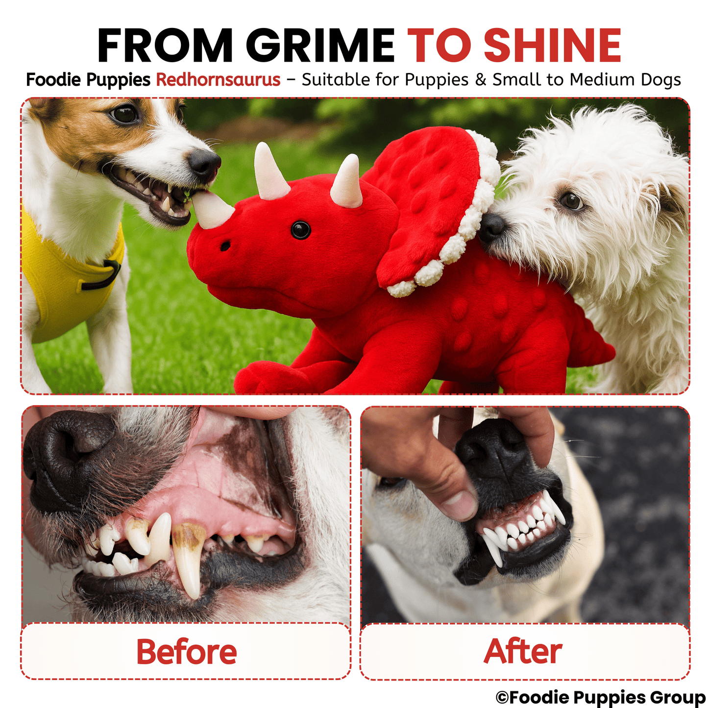 Red Hornsaurus Squeaky Toy For Dog