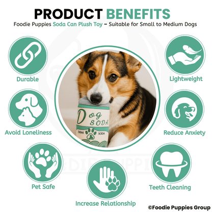Soda Cane Chew Toy For All Dogs medium