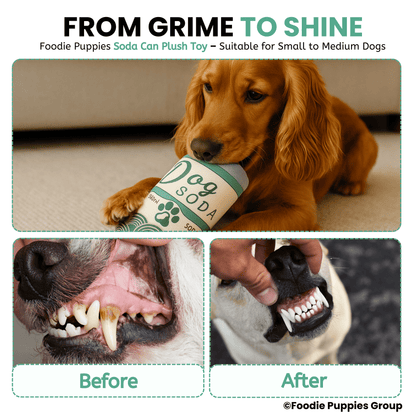 Soda Cane Chew Toy For All Dogs medium
