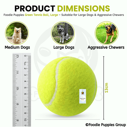Neo Green Tennis Play Ball (Large) Dog Toy for Medium to Large Dogs