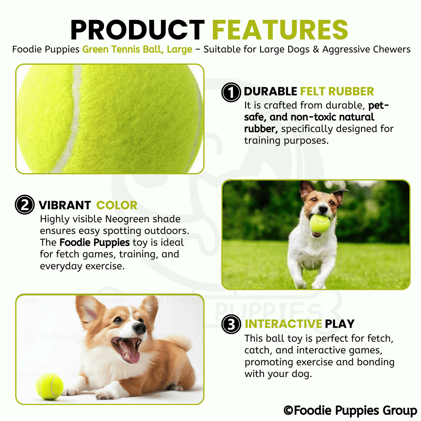 Neo Green Tennis Play Ball (Large) Dog Toy for Medium to Large Dogs