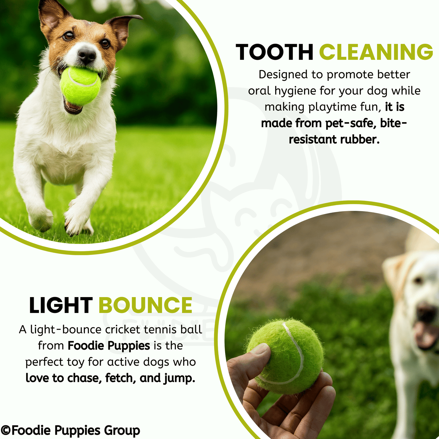 Neo Green Tennis Play Ball (Large) Dog Toy for Medium to Large Dogs