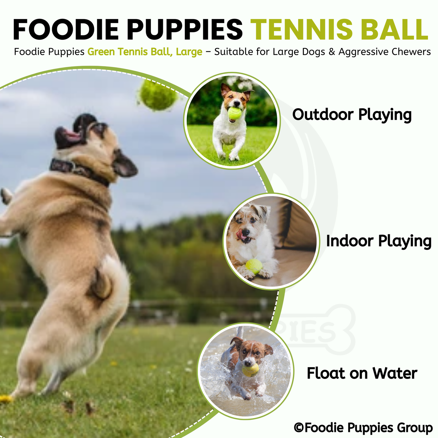 Neo Green Tennis Play Ball (Large) Dog Toy for Medium to Large Dogs