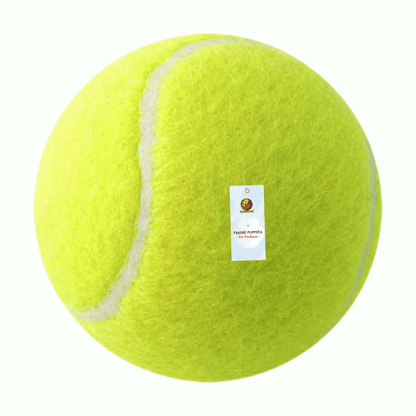 Neo Green, Large Ball For Dog