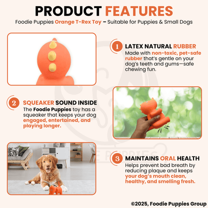 Orange T-Rex Latex Dog Squeaky Chew Toy (13cm) for Small Dogs and Puppies