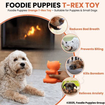 Orange T-Rex Latex Dog Squeaky Chew Toy (13cm) for Small Dogs and Puppies