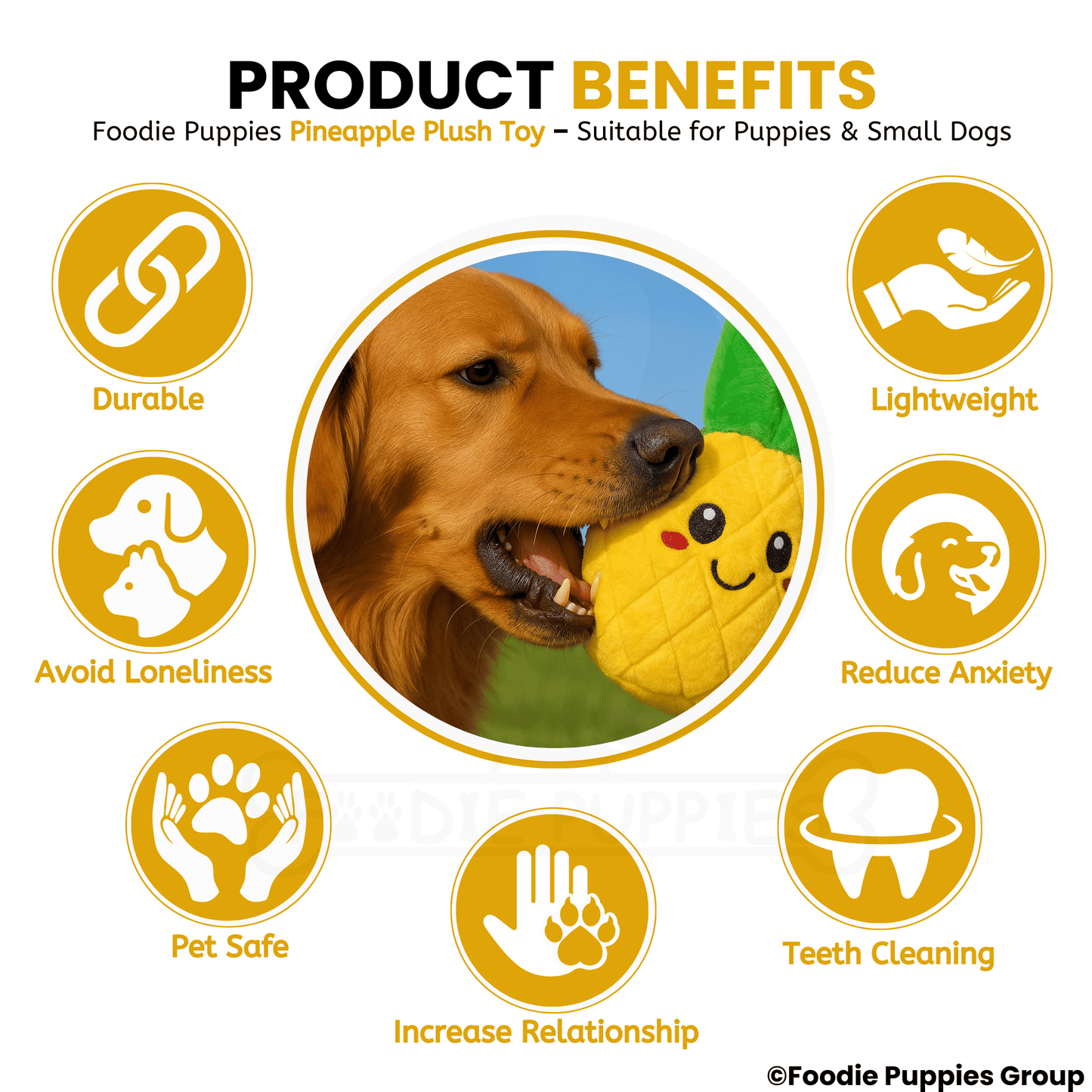 Squeaky Plush Pineapple Toy for Dog 